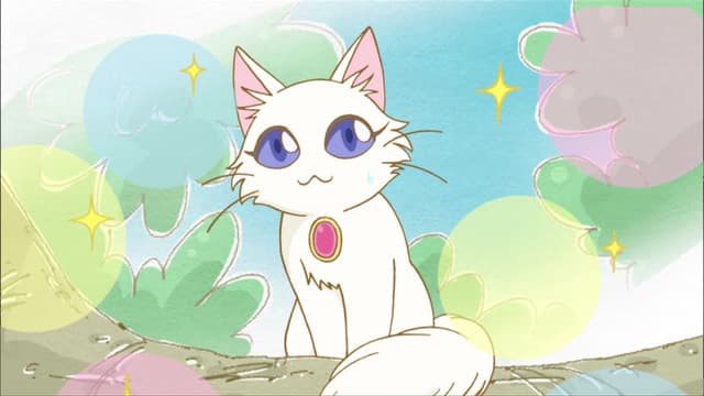 Poyopoyo Kansatsu Nikki, A Real Ladies' Sphere