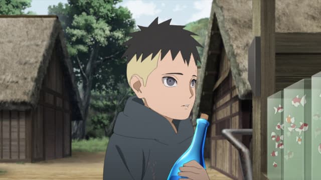 BORUTO: NARUTO NEXT GENERATIONS, The Past