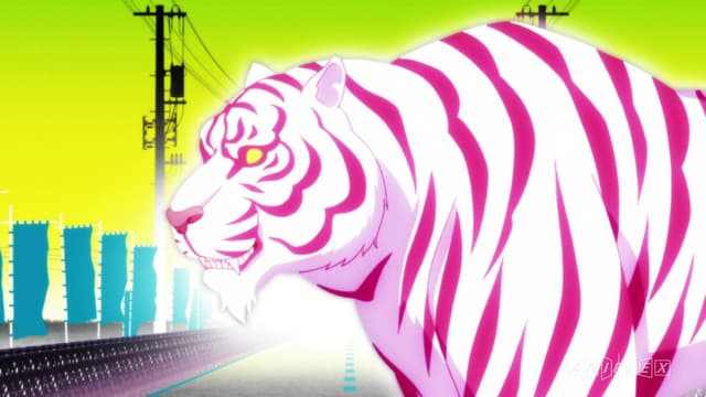 Monogatari Series: Second Season, Tsubasa Tiger Part One