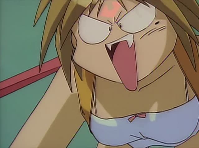 Bannou Bunka Neko-Musume, PHASE-0IV