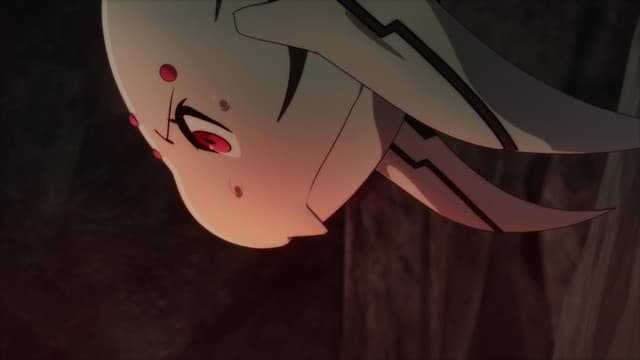 Kumo desu ga, Nani ka?, My Battle Has, Only Just Begun?