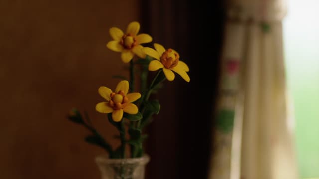 blossom, By Your Side