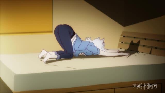 Monogatari Series: Second Season, Tsubasa Tiger Part Five