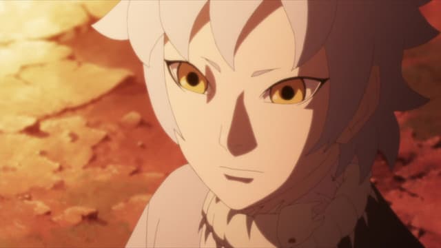 BORUTO: NARUTO NEXT GENERATIONS, A Wound on the Heart