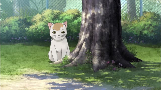 Sukitte Ii na yo., Why 