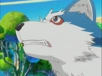 Otogi-juushi Akazukin, Their Bond