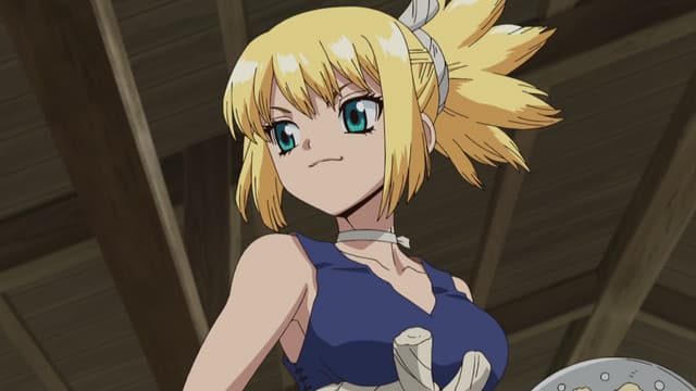 Dr. STONE, Reunion