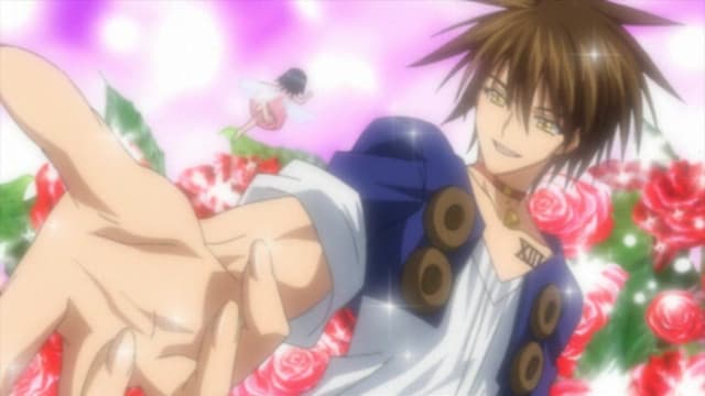 Black Cat: Toozakaru Neko, The Love Cat