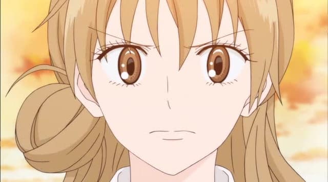 Kimi ni Todoke, Special