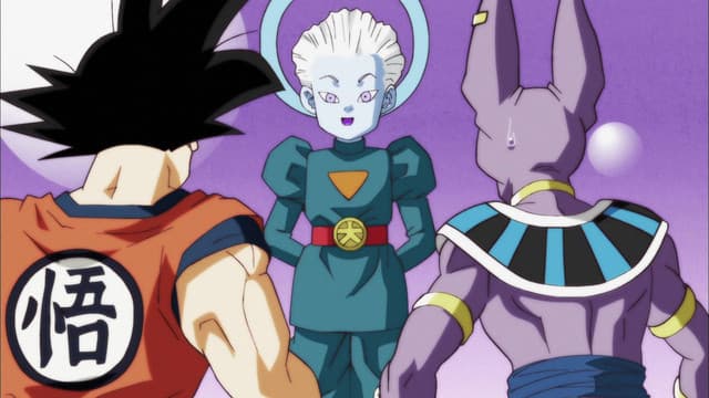 Dragon Ball Super, The Gods of Every Universe in Shock?! Losers Erased in the Tournament of Power