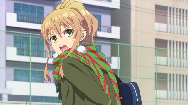 citrus, love is