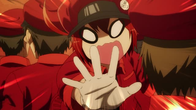 Hataraku Saibou, Blood Circulation