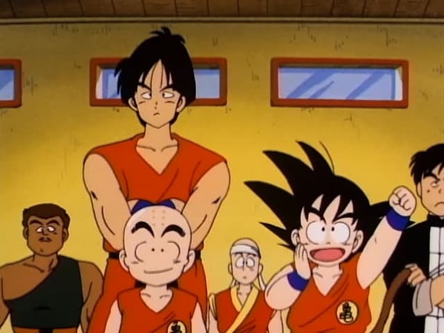 Dragon Ball, Then There Were Eight