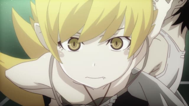 Nekomonogatari (Kuro), Tsubasa Family, Part 2