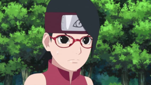 BORUTO: NARUTO NEXT GENERATIONS, The Results of Training