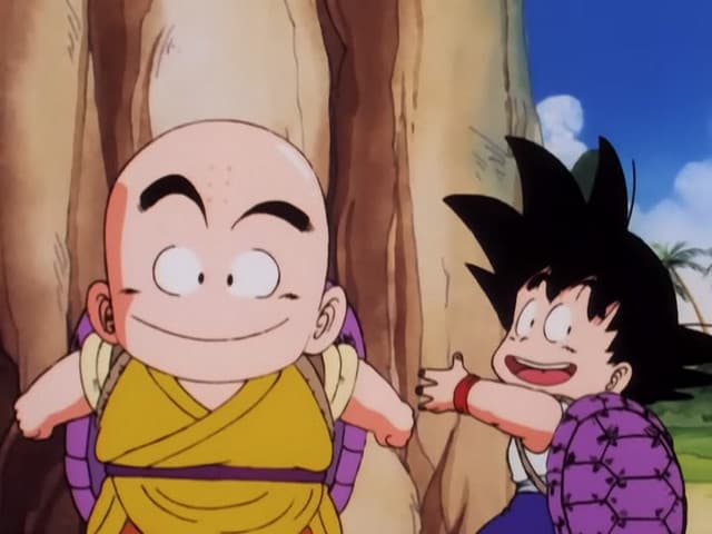 Dragon Ball, The Tournament Begins