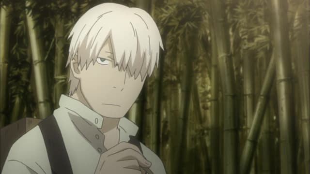 Mushishi, The Heavy Seed