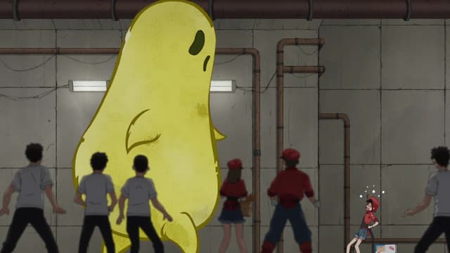 Hataraku Saibou, Cedar Pollen Allergies