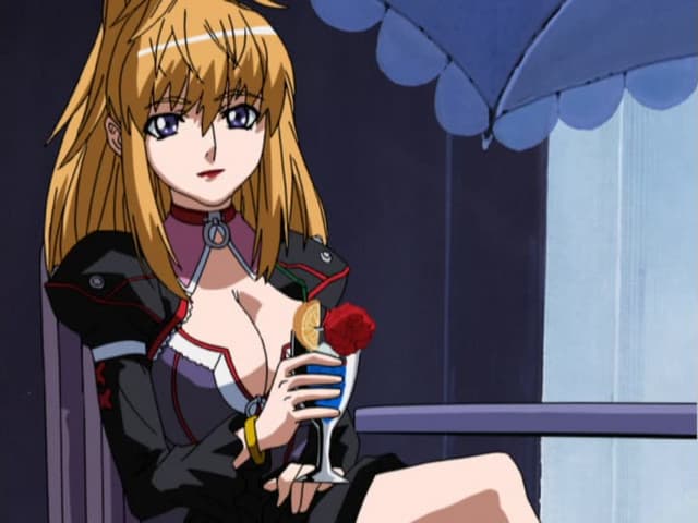 Choujuushin Gravion, The Princess in the Tower