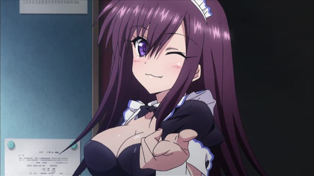 Absolute Duo, Duo