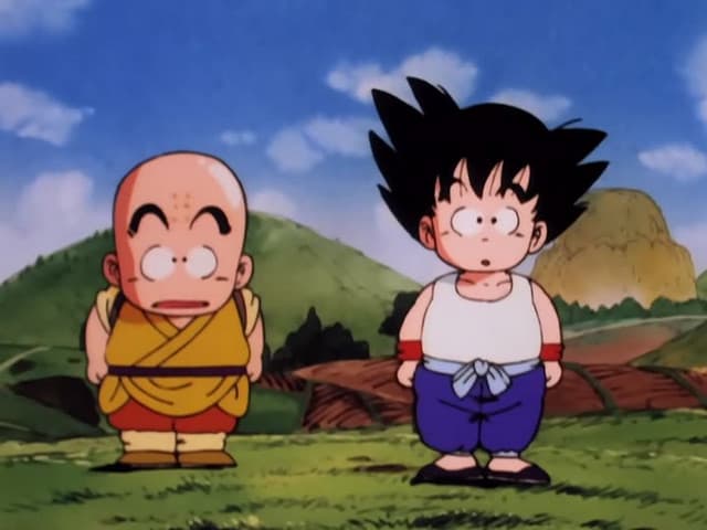 Dragon Ball, The Turtle Hermit Way