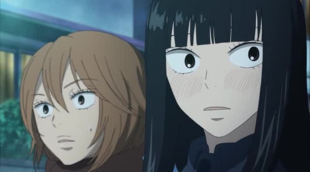 Kimi ni Todoke, First Show