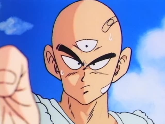 Dragon Ball, Earth's Guardian Emerges