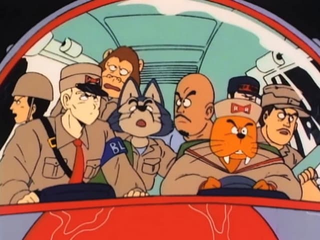 Dragon Ball, Roshi Surprise