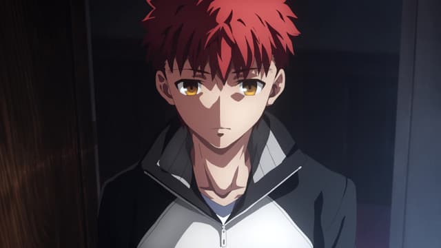 Fate/stay night [Heaven's Feel] I. presage flower, Unknown