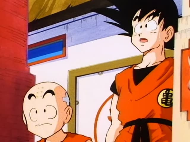 Dragon Ball, Rematch