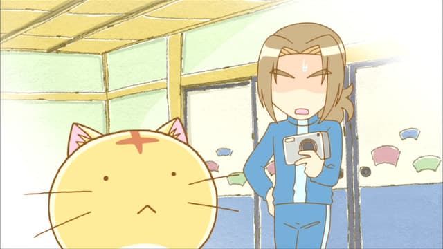 Poyopoyo Kansatsu Nikki, Sphere Snapshots