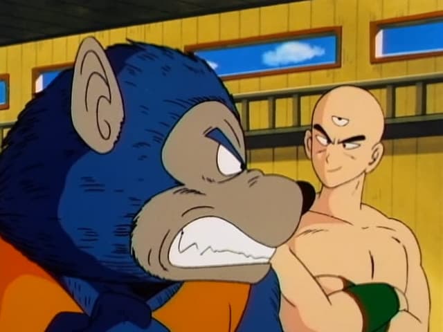 Dragon Ball, Yamcha vs. Tien