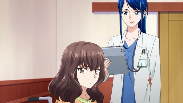 Kibou no Chikara: Otona Precure '23, Memories of the Heart