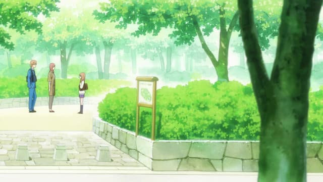 Ore Monogatari!!, My Wish