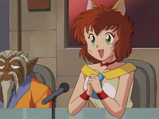 Yuu☆Yuu☆Hakusho, The Preliminaries