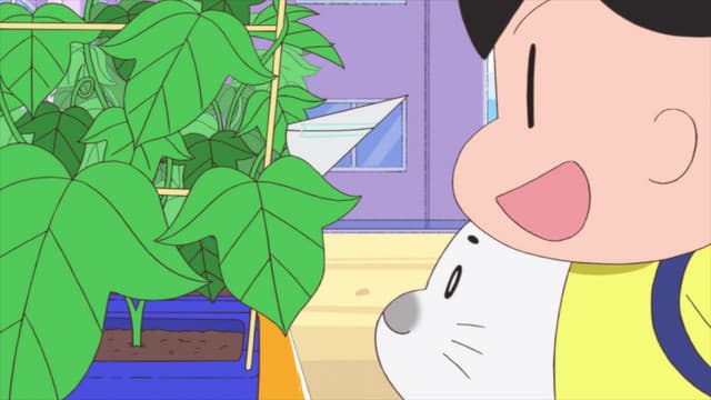 Shounen Ashibe: GO! GO! Goma-chan 4, Let's Make the Morning Glories Bloom