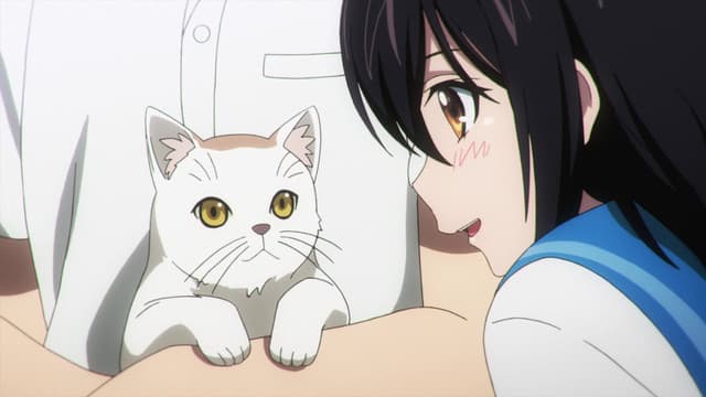 Strike the Blood, The Amphisbaena I