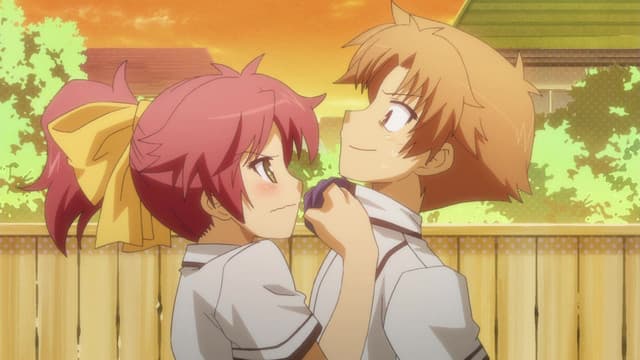 Baka to Test to Shoukanjuu, Kisses, Breasts, and Ponytails