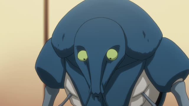 HUNTER×HUNTER (2011), Strong X Or X Weak