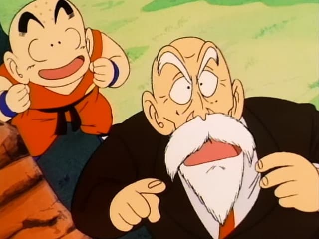 Dragon Ball, The Fallen