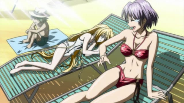 Black Cat: Toozakaru Neko, The Distant Cat