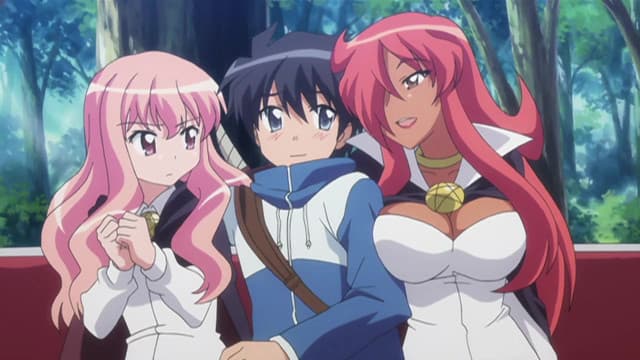 Zero no Tsukaima, A Thief's Identity