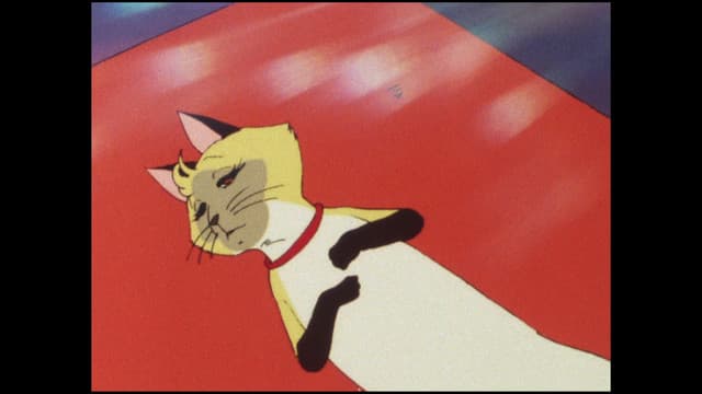 Mahou no Princess Minky Momo, The Grand, Error-Filled Plan