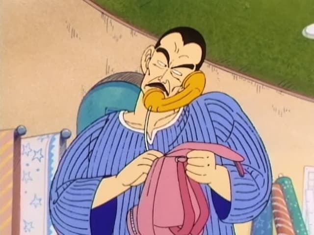 Dragon Ball, Tao Attacks!
