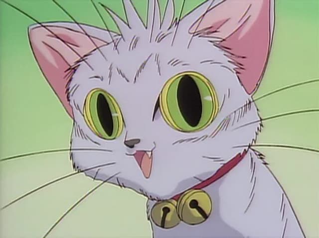 Bannou Bunka Neko-Musume, PHASE-0V