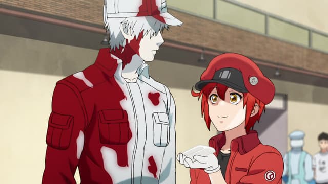 Hataraku Saibou, Food Poisoning