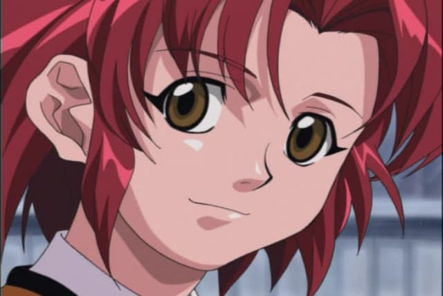 Chikyuu Bouei Kigyou Dai-Guard, A Strange Day