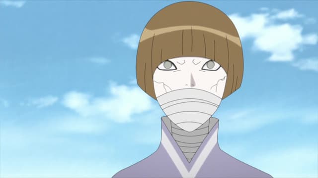 BORUTO: NARUTO NEXT GENERATIONS, Mitsuki and Sekiei