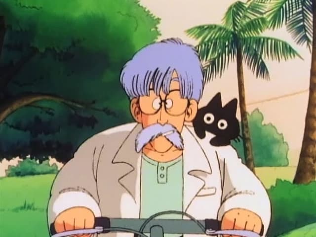 Dragon Ball, Master Thief, Hasky