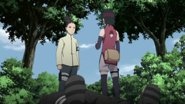 BORUTO: NARUTO NEXT GENERATIONS, Boruto's Wish